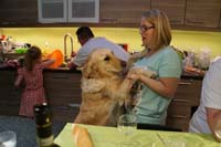 BF-Treffen_LG-20180506-0576-LeS-DSC00351